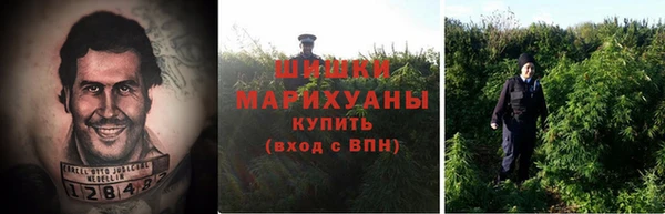 каннабис Белокуриха