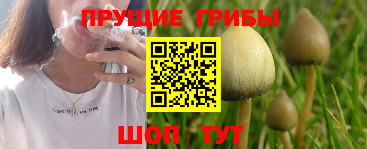 Галлюциногенные грибы Psilocybe Кунгур